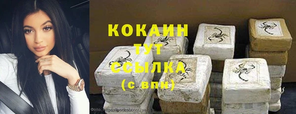 мдпв Михайлов