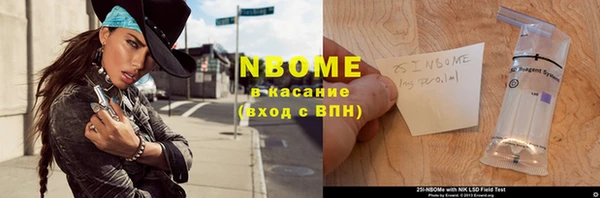 мдпв Михайлов