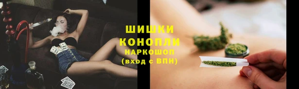 мдпв Михайлов