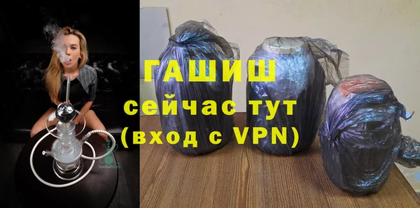 мдпв Михайлов