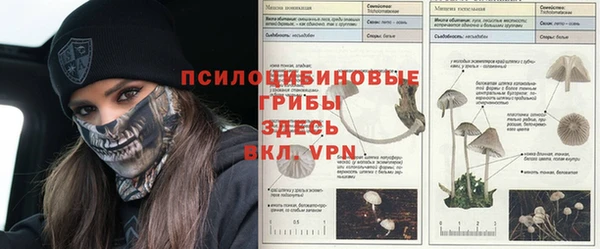 не бодяженный Михайловка