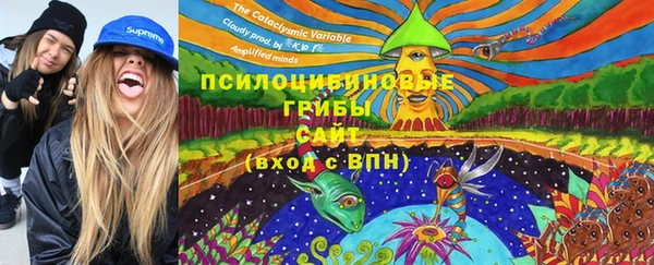 мдпв Михайлов