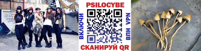 Псилоцибиновые грибы Cubensis  Купить где  Ярцево 